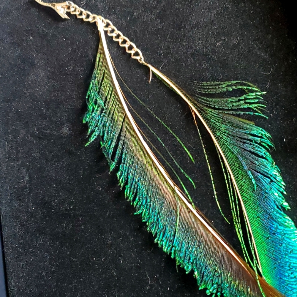 Teenagers feather hair clip.